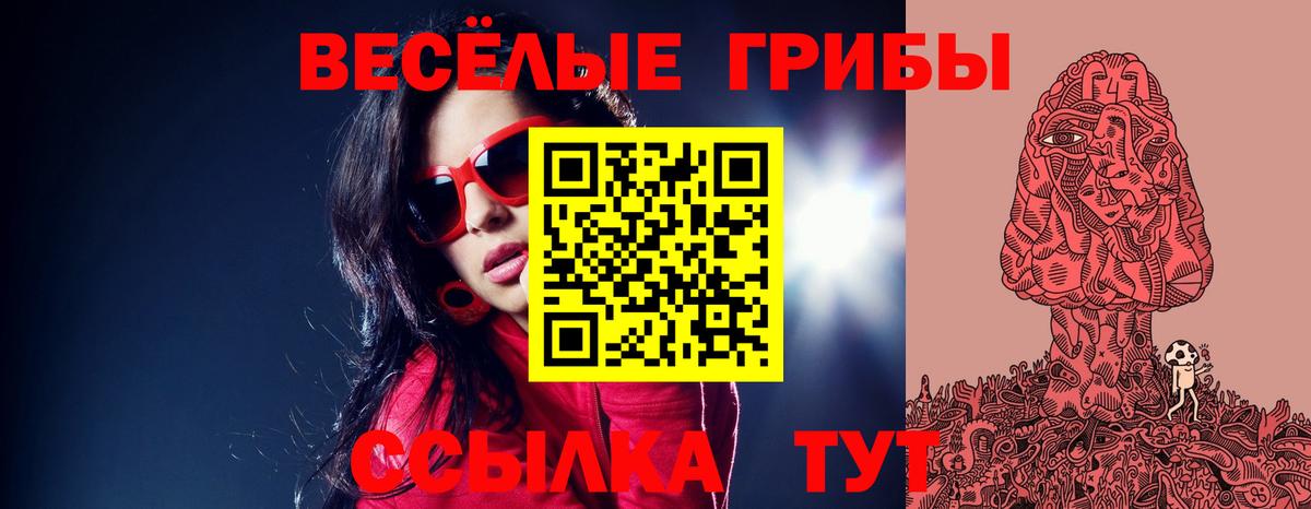 Псилоцибиновые грибы Cubensis  Вход с VPN  Ноябрьск 